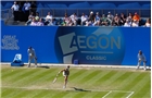 BIRMINGHAM, ENGLAND - JUNE 12:  Lauren Davis of the United States serves during Day Four of the Aegon Classic at Edgbaston Priory Club on June 12, 2014 in Birmingham, England.  (Photo by Paul Thomas/Getty Images)